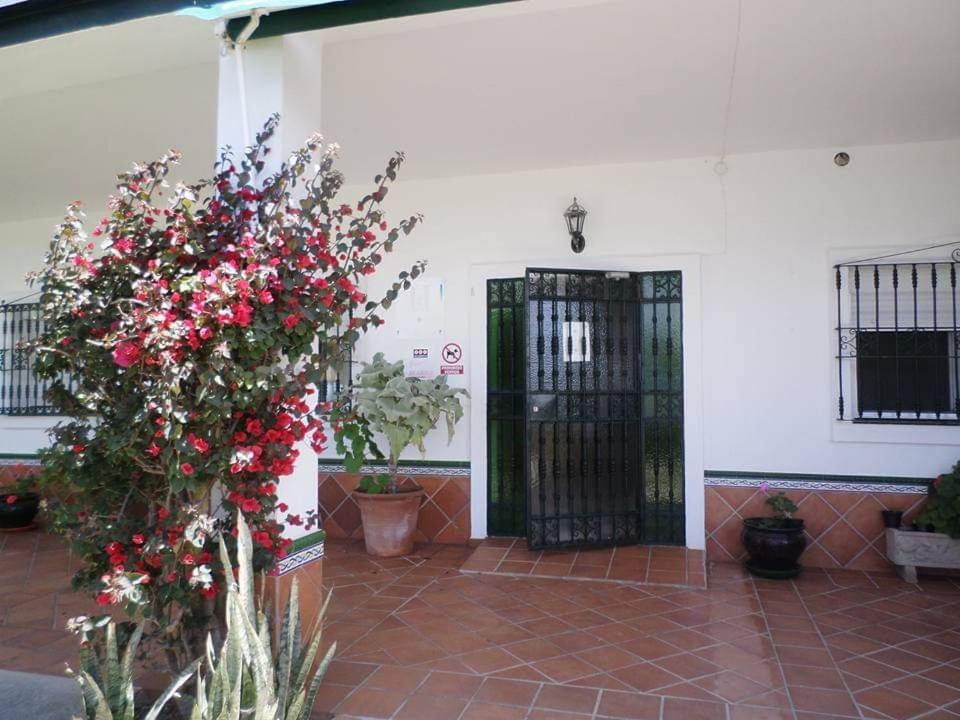 Hostal Restaurante La Ilusion El Palmar  Exterior foto